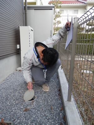2014.1.181.JPG