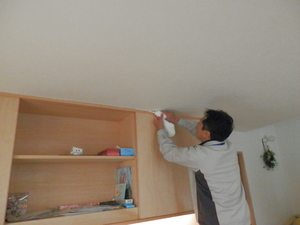 2014.1.182.JPG