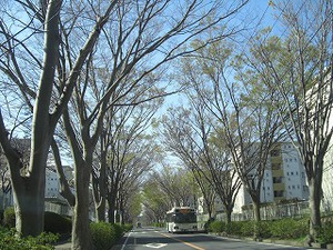 20140408-1.jpg