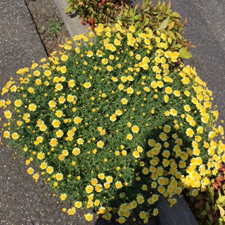 20150510143623.JPG