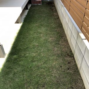 芝生の張り替え