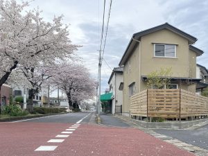 桜並木に建つ家