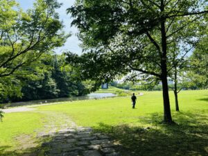 北総花の丘公園