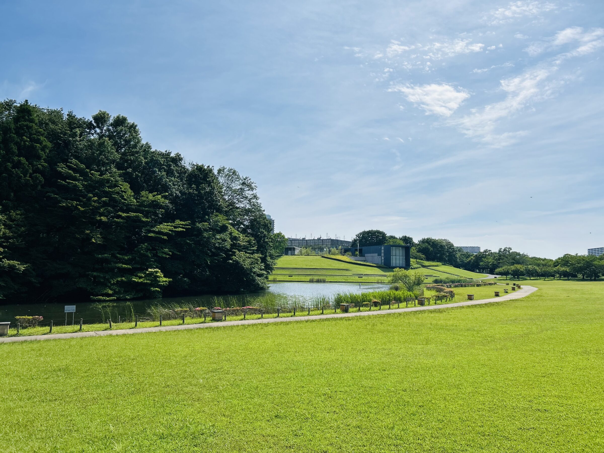 北総花の丘公園遠景