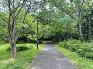 並木道