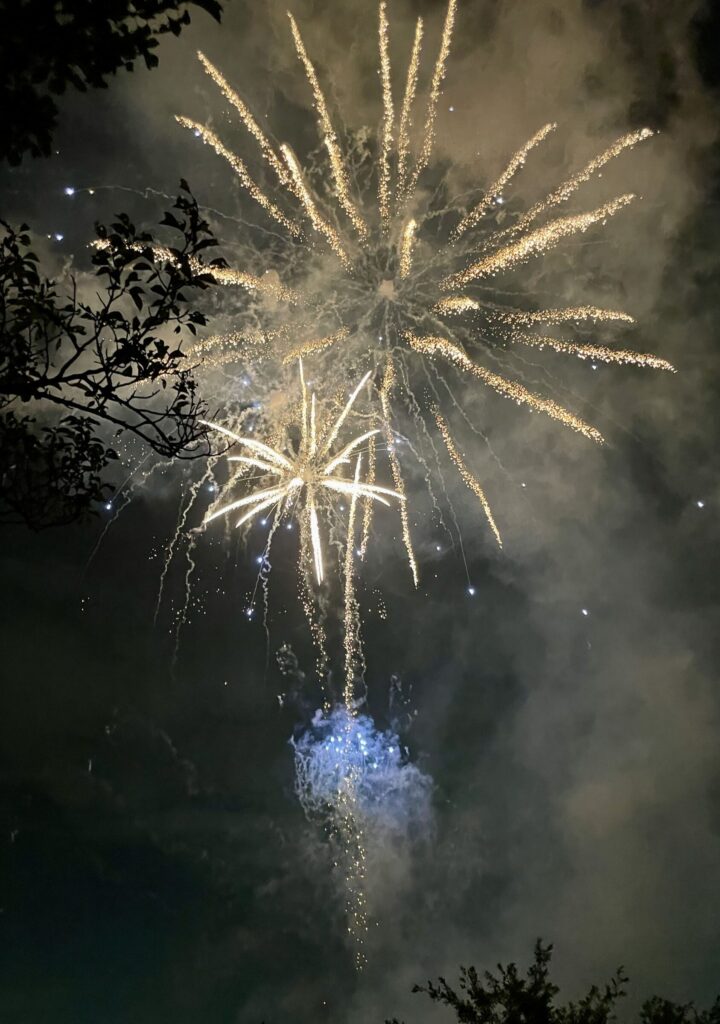 手賀沼花火大会