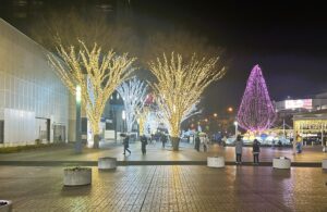 イルミライ★INZAI 2025